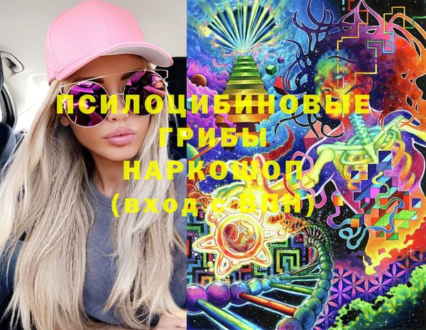 стафф Володарск